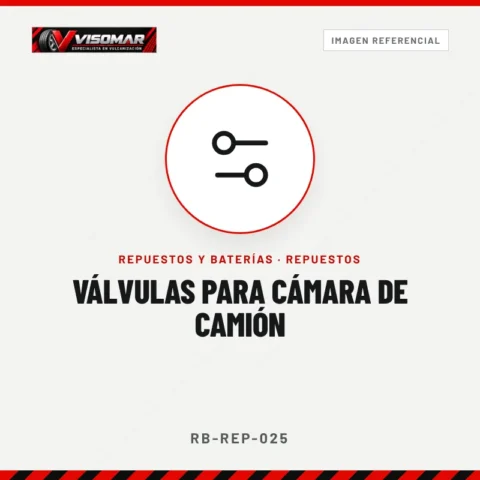 Válvulas para cámara de camión